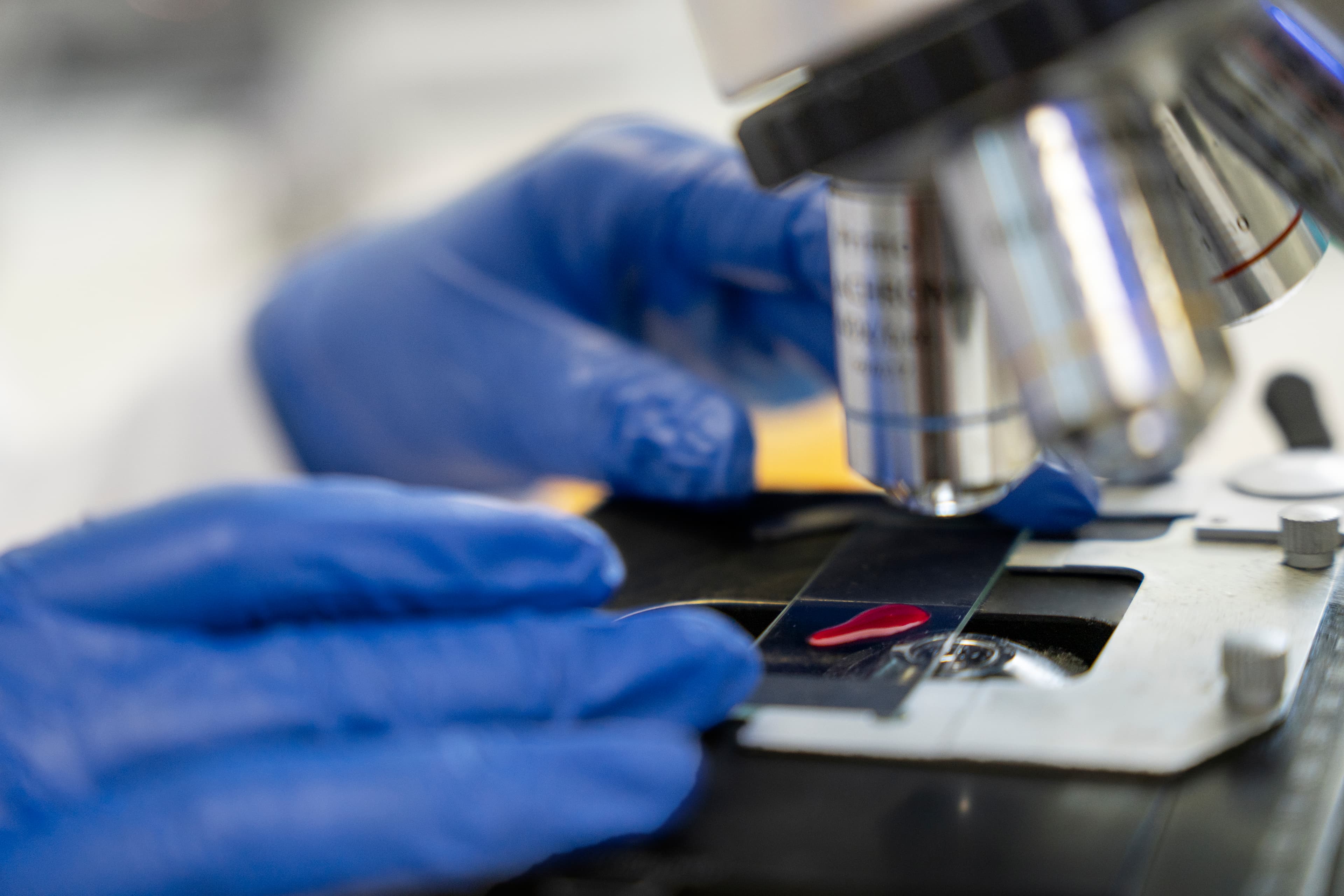 Lab Services
